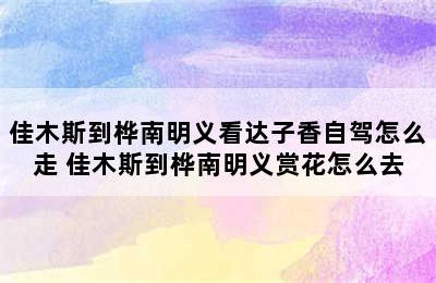 佳木斯到桦南明义看达子香自驾怎么走 佳木斯到桦南明义赏花怎么去